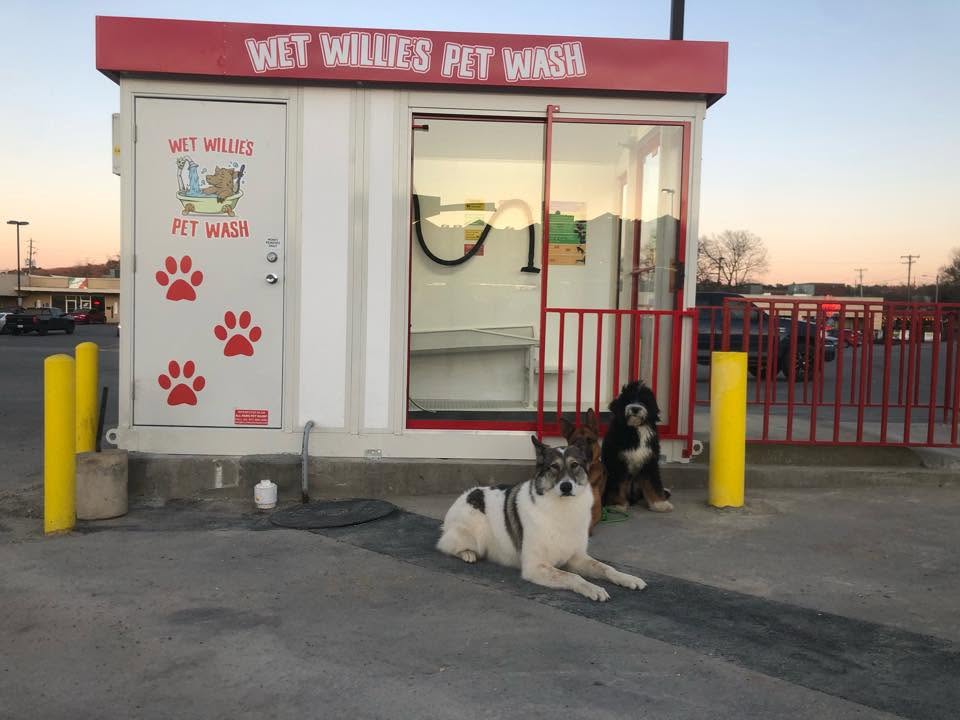 The real Wet Willies Pet Wash station at 1054 W Mt Comfort Rd, Fayetteville